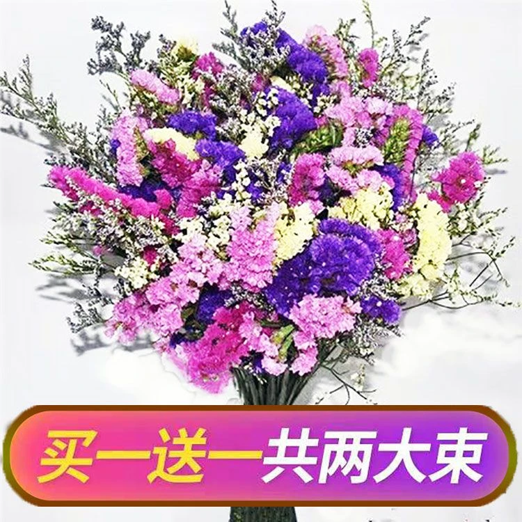 勿忘我干花花束 客厅干花装饰家居装饰摆件 客厅满天星真花干花束