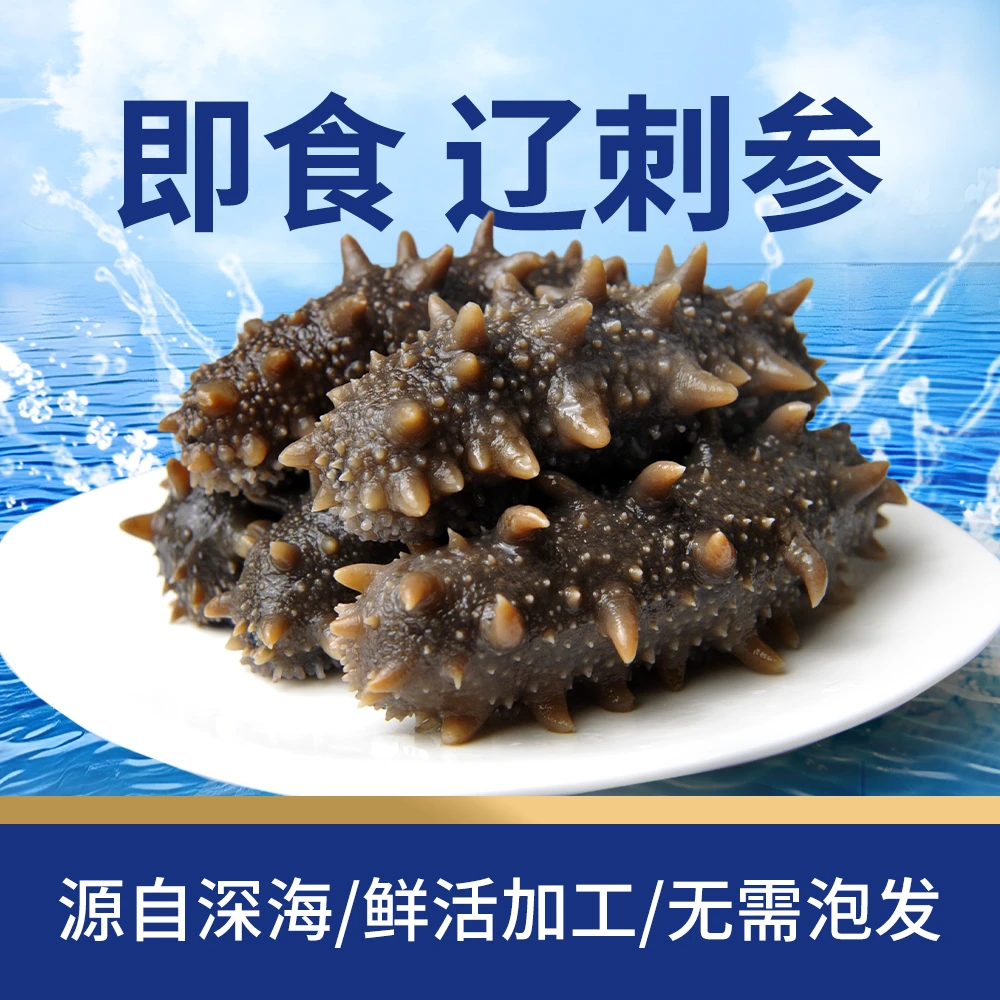 【热销款】深海主角新即食海参9-15只/500g顺丰包邮美味自然非淡干