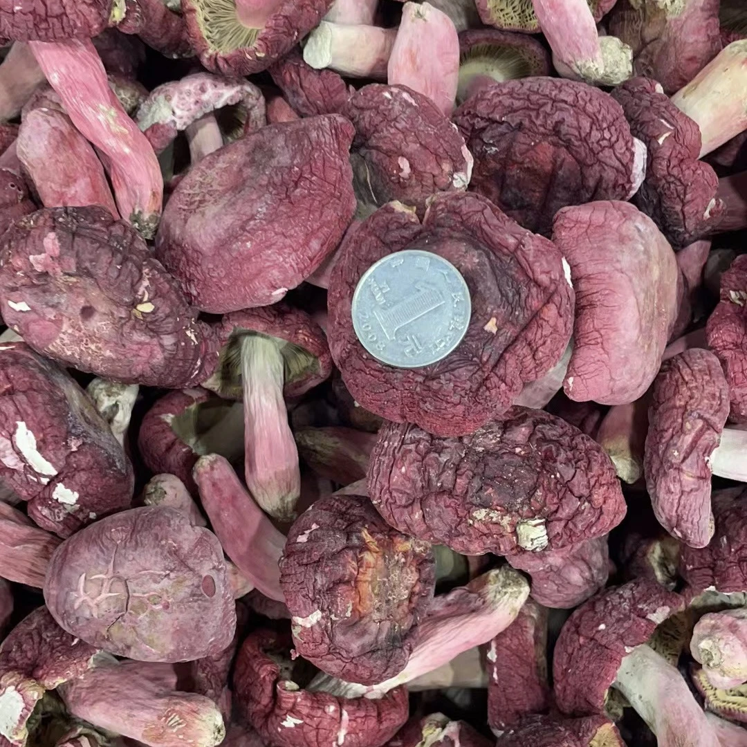 恒昌家广西浪水优选红菇，每朵都很圆润饱满颜色匀称（送礼推荐）