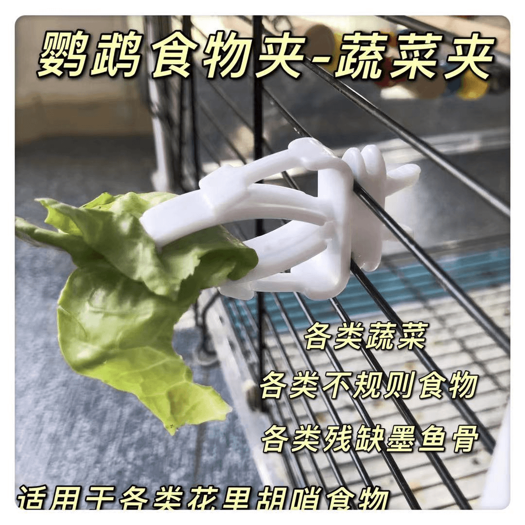 鹦鹉-文鸟【白色蔬菜夹】食物菜夹墨鱼骨夹笼具用品-店铺满25包邮