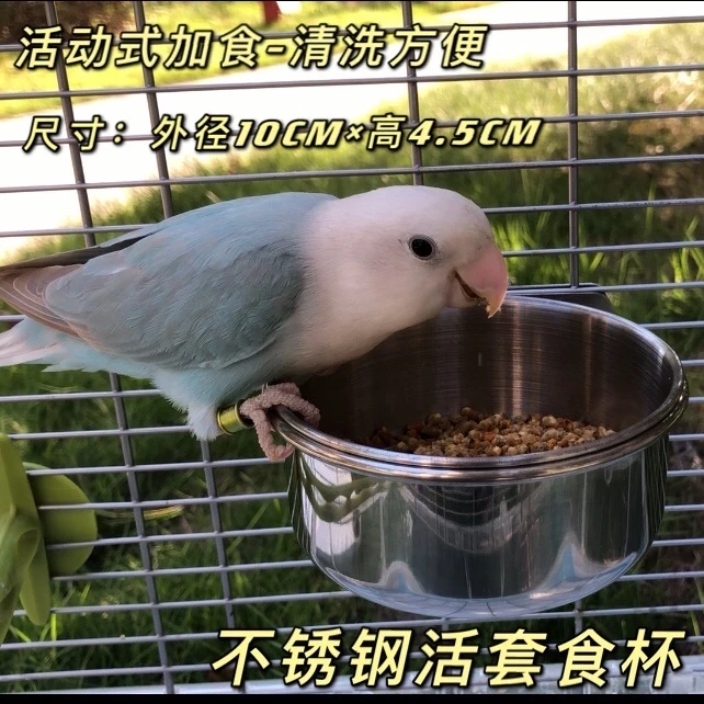 不锈钢鹦鹉鸟类食杯碗-食盒槽防刨防打翻站杆固定活动式宠物水杯