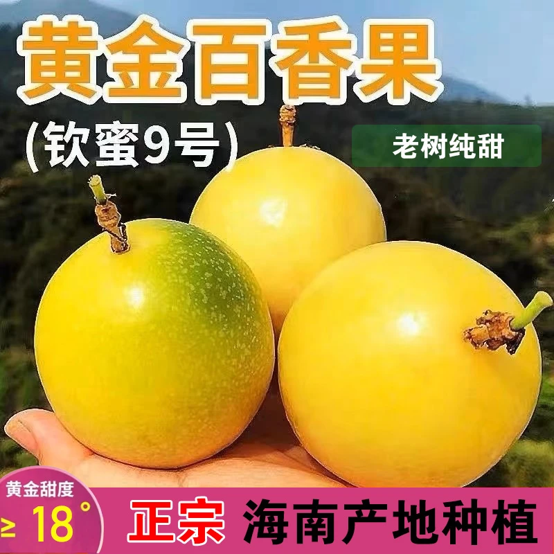 海南热带水果黄金百香果钦蜜九号果园现采现摘新鲜口感