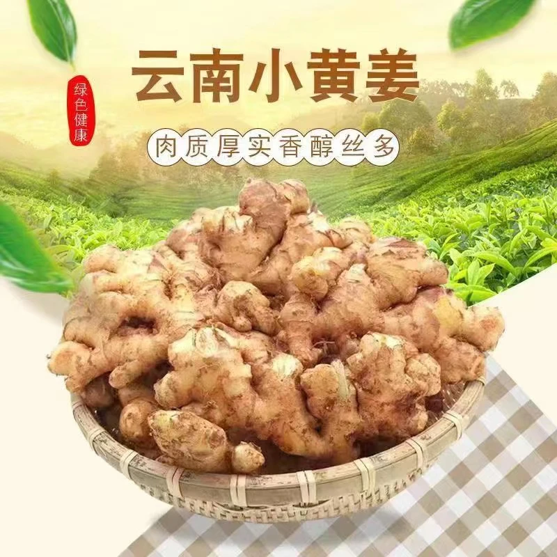 云南山地小黄姜（1/3/5/9斤可选）新鲜现挖土姜月子姜老姜产地直销