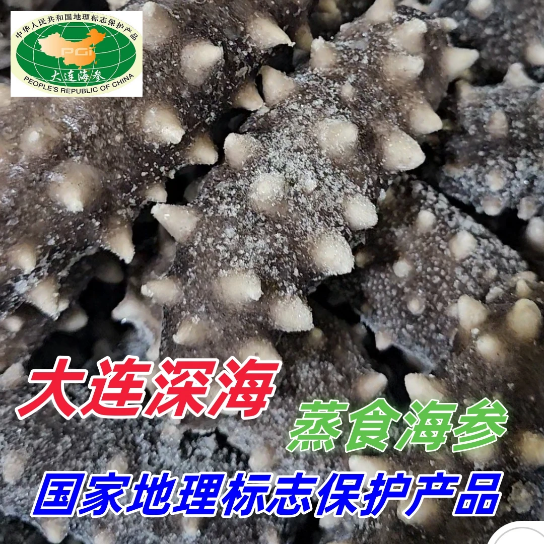 【损耗福利】【3斤大连深海蒸食海参即食】