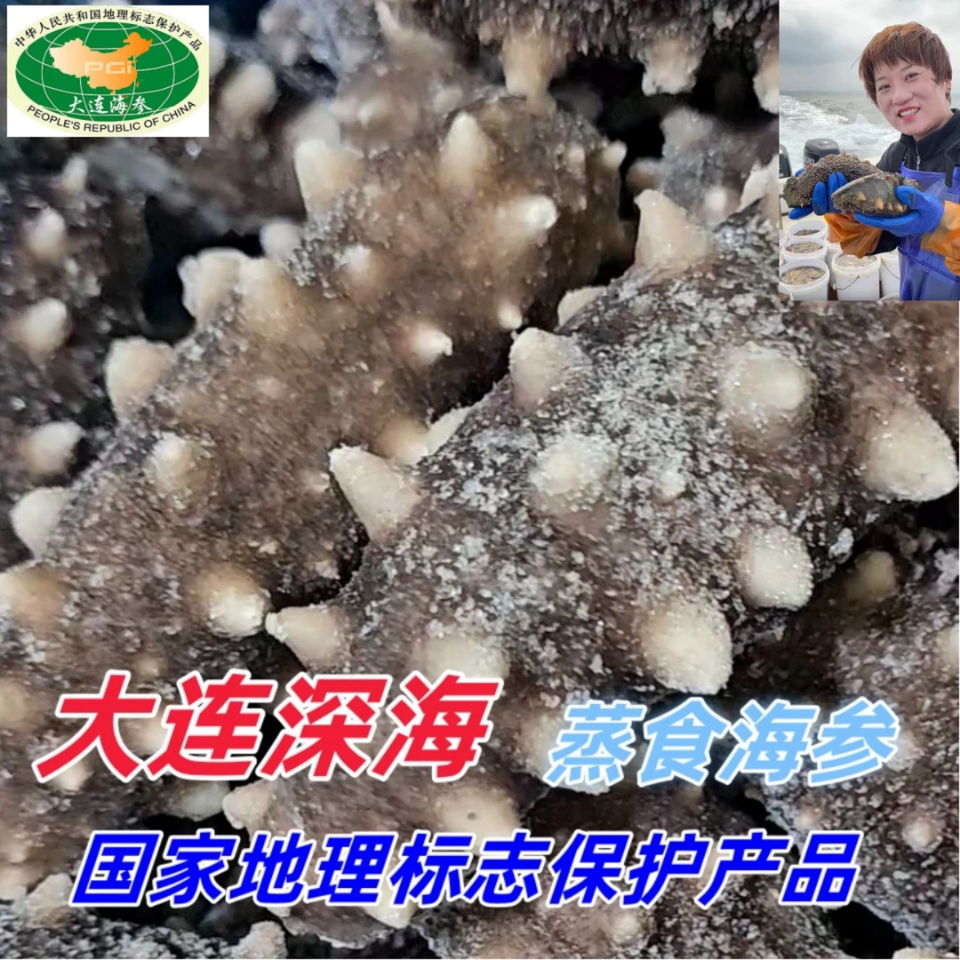 大连蒸食海参【国家地理标志保护产品】即食海参