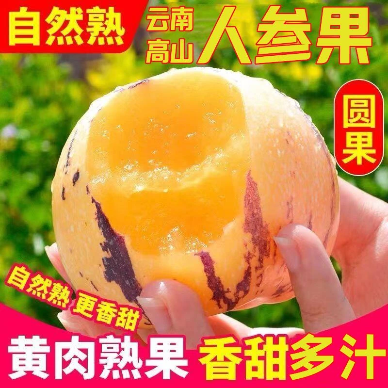 云南石林人参果树上熟超甜黄心人生黄果黄肉圆果新鲜现摘应季水果