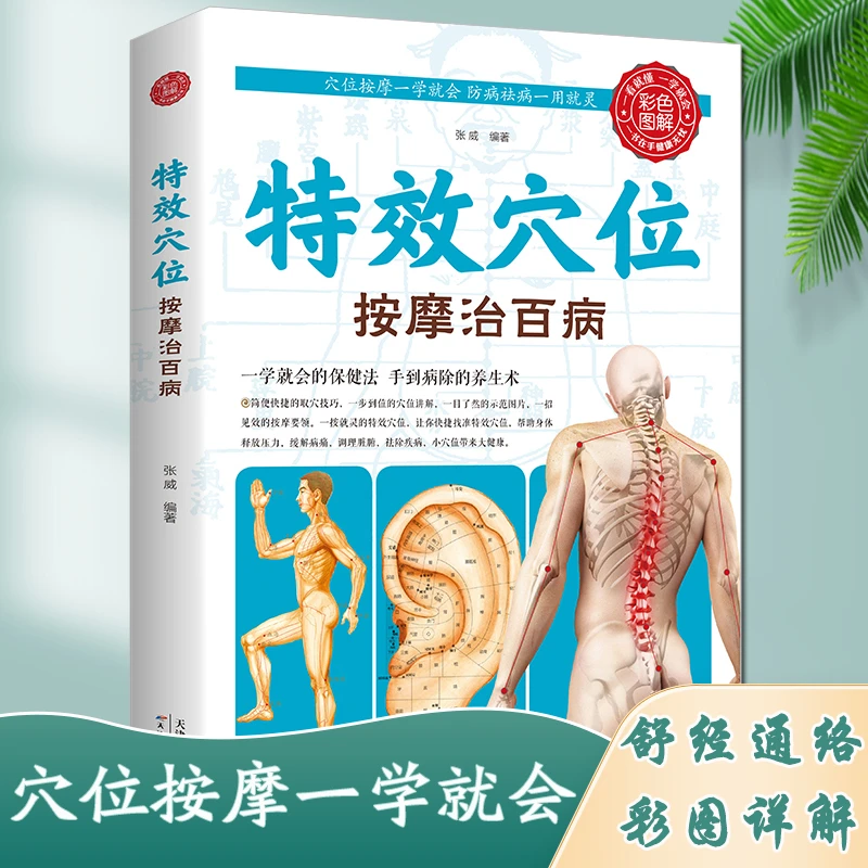 【彩图全解】特效穴位按摩治百病 家庭按摩图解 经络穴位速查养生书