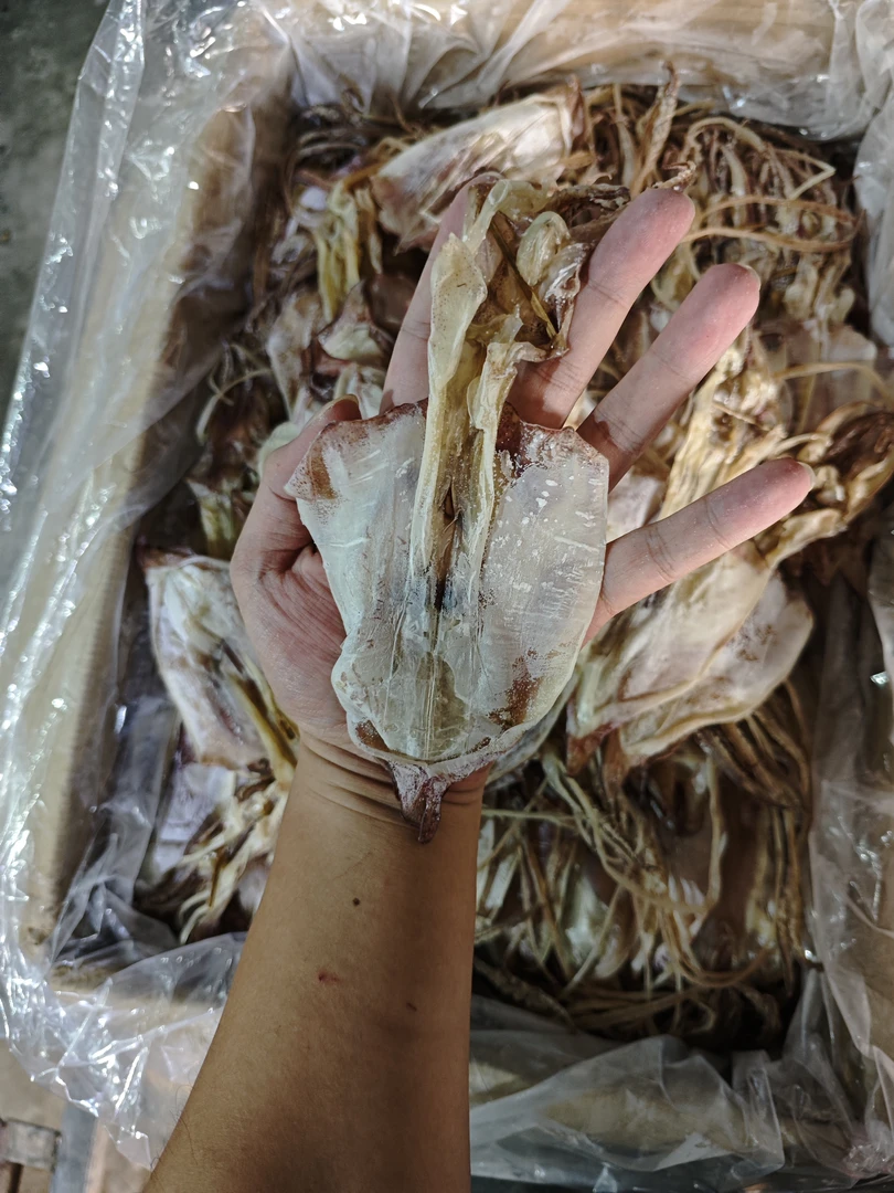 小个次品鱿鱼 适合家用