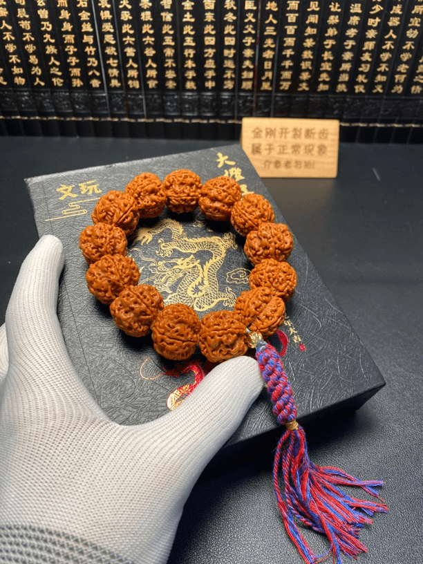尼泊尔大金刚（21号）