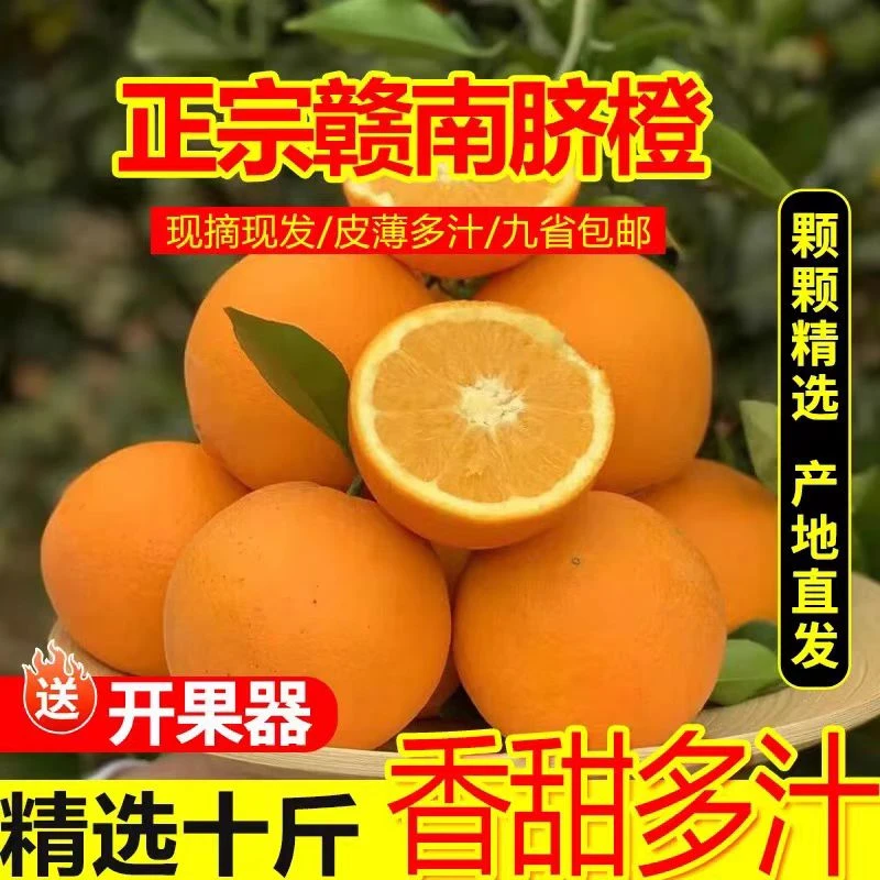 【嘉联超市】正宗赣南脐橙产地直供当季水果现摘现发新鲜手剥甜橙子