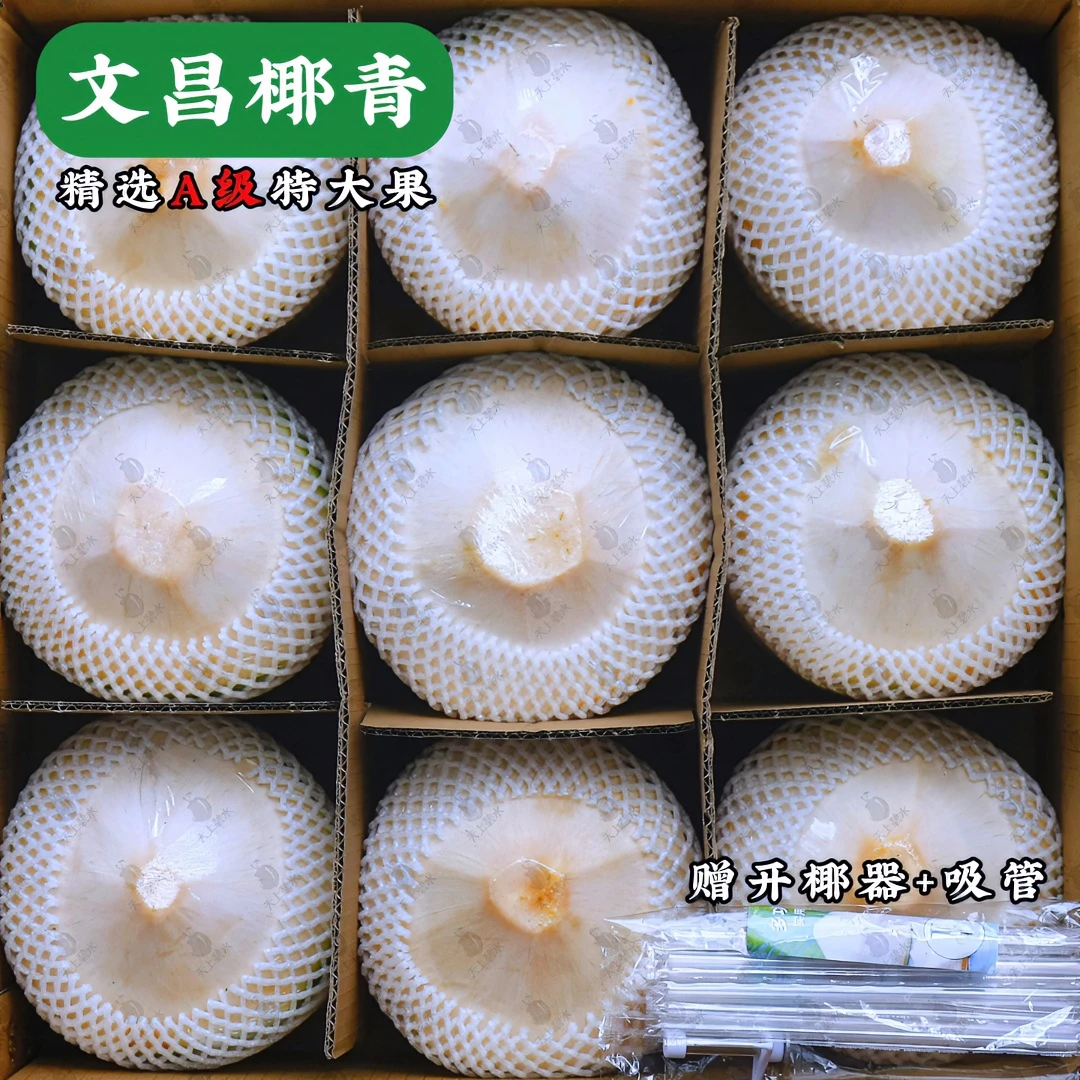 【精品特大果9粒】孕反厉害天然电解质水海南文昌东郊椰子椰青孕妈