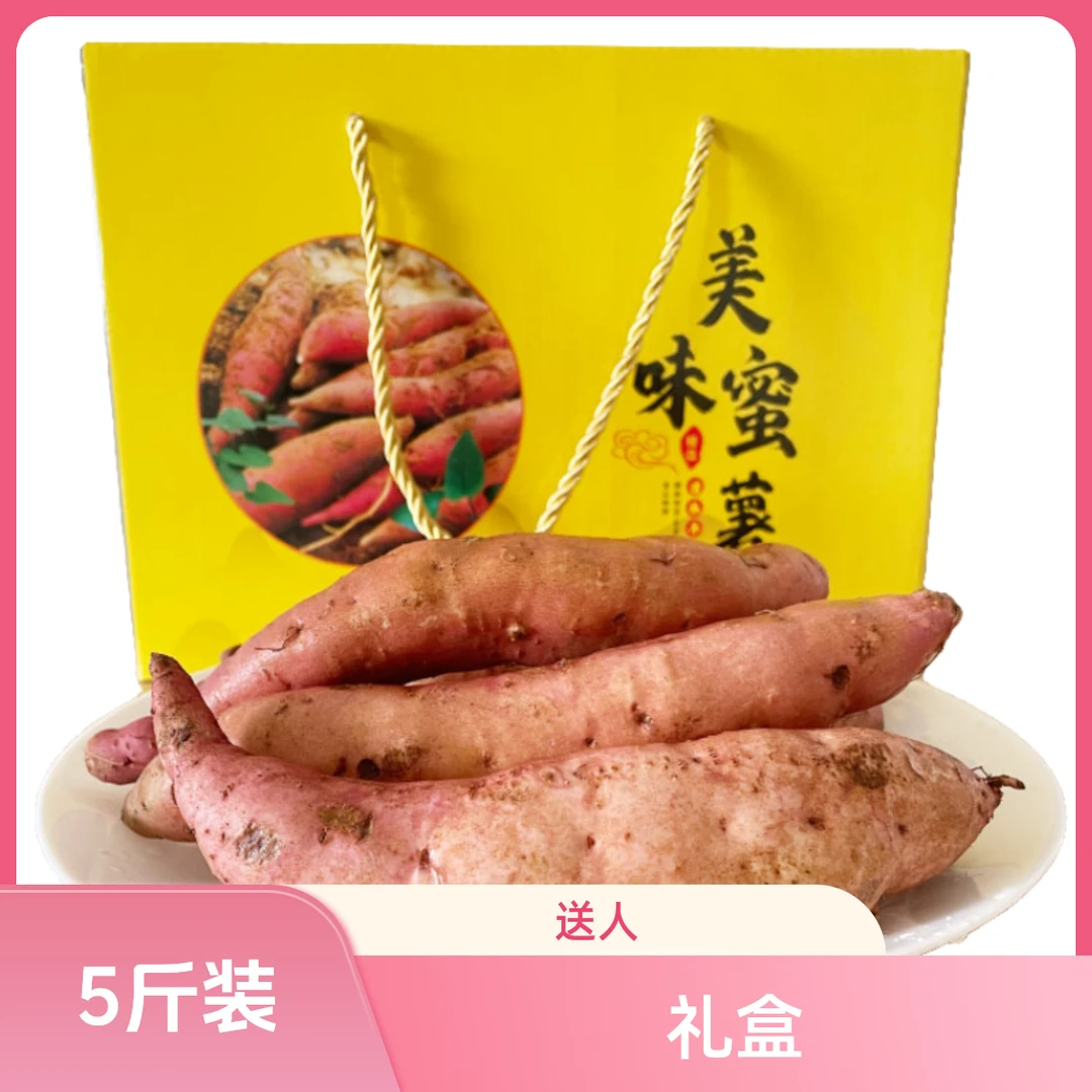 【海南沙地地瓜】5斤装礼盒送人新鲜地瓜粉面香粉面白心薯美味红薯