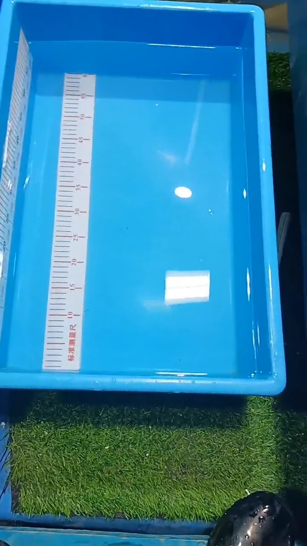 【闪购商品】锦鲤淡水不分公母0活体顺丰包邮包开箱活