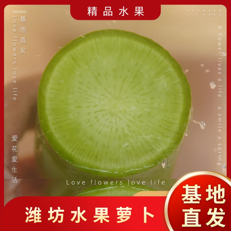 微辣净重五斤水果萝卜