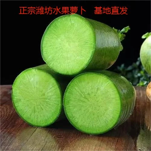 不辣的 5斤山东潍坊水果萝卜甜脆水果型潍县新鲜青萝卜特产正宗