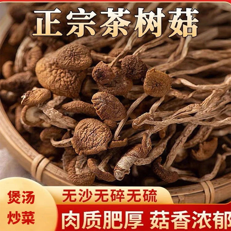 茶树菇干货煲汤配菜干茶树菇炒菜煲汤肉厚柄肥口感脆滑