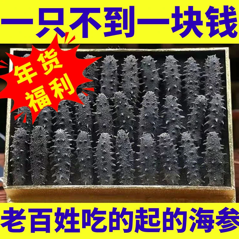 工厂批发大连野生淡干海参干货深海丰富鲜活精选加工处理自然品质