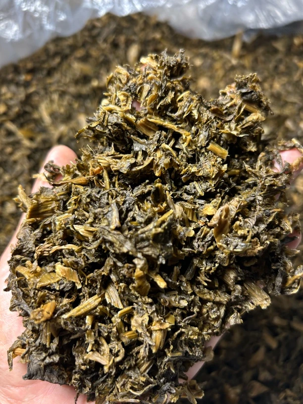 云南特色美食哈尼族特色美食老酸菜酸菜是干的 一袋500g包邮