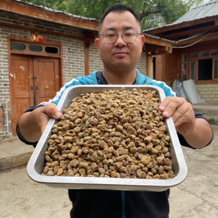 覆盆子 秦岭深山 250克