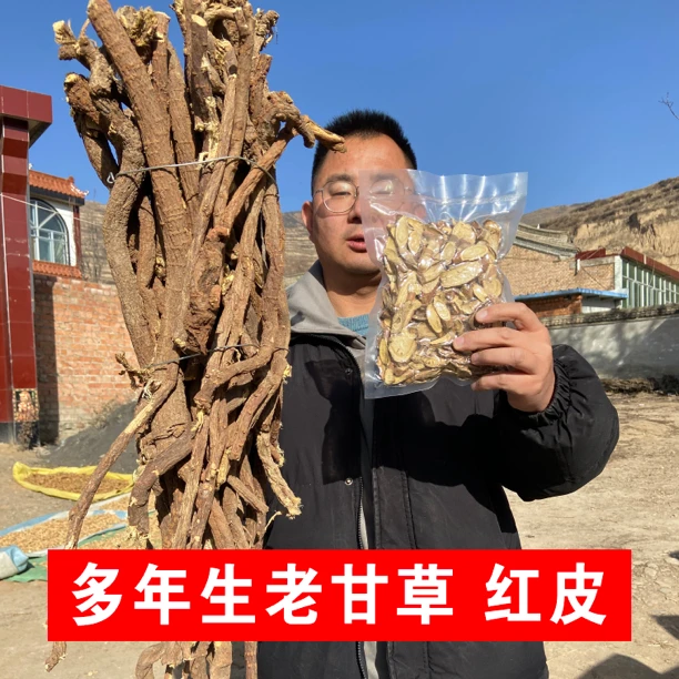 【周老汉推荐】老红皮甘草 户外采集 人工挑拣