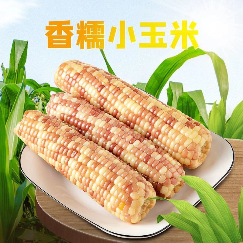 香糯小玉米新鲜花糯玉米棒真空加热即食早餐1斤包邮食材