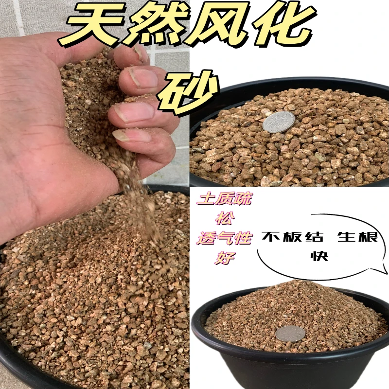 天然优质风化砂营养土透气生根快不板结盆栽绿植花卉植物栽培砂土