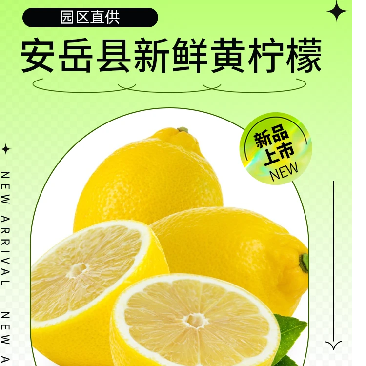 一级果新鲜现摘-新鲜正宗安岳柠檬（2-9斤）皮薄鲜果柠檬鲜果甄选