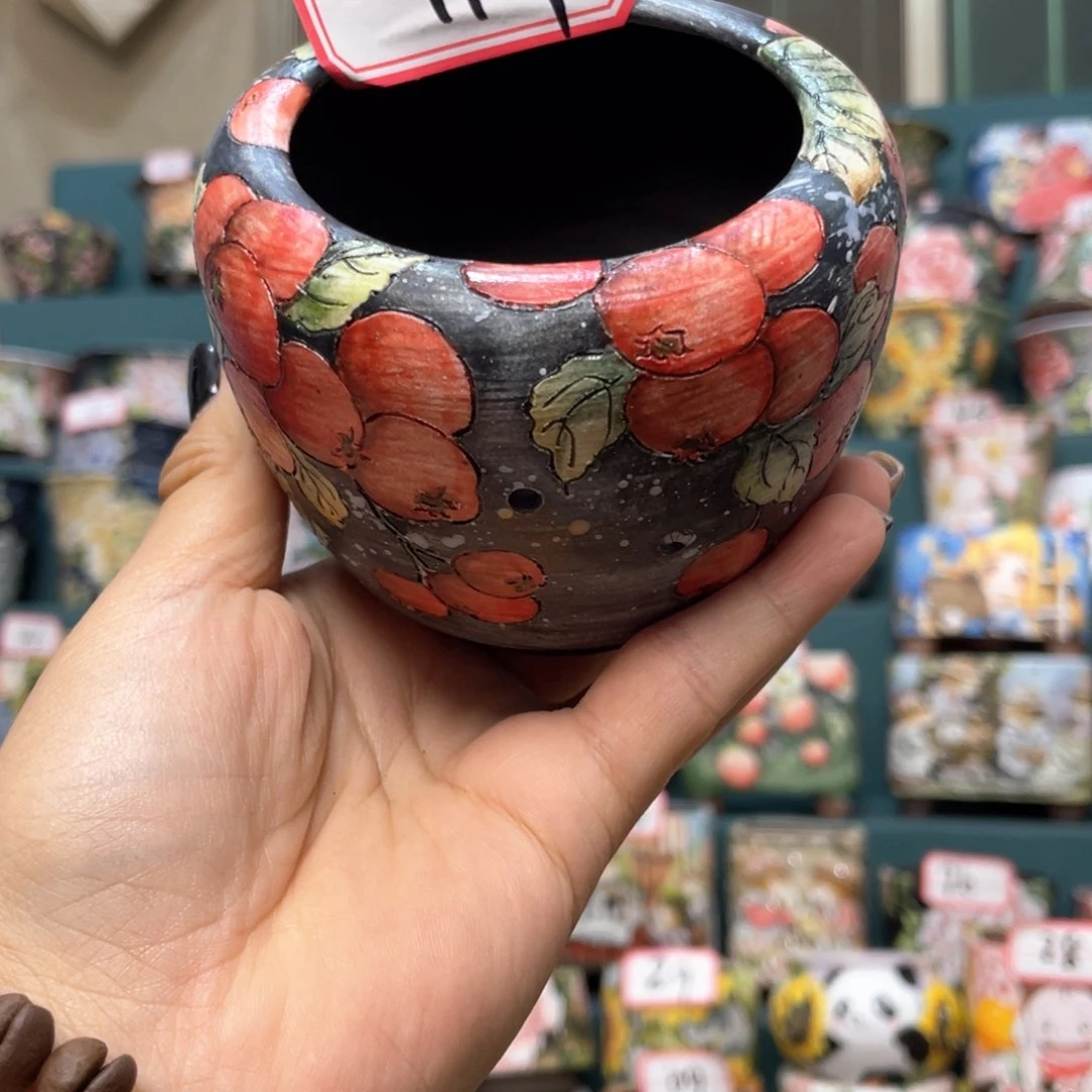 红陶20CM（含）-50CM（不含）青*'119福利秒杀价