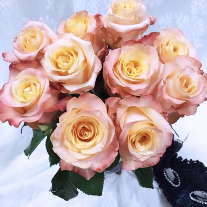 惠惠的花园切花月季油画蒙娜丽莎花期长直立性好阳台庭院盆栽