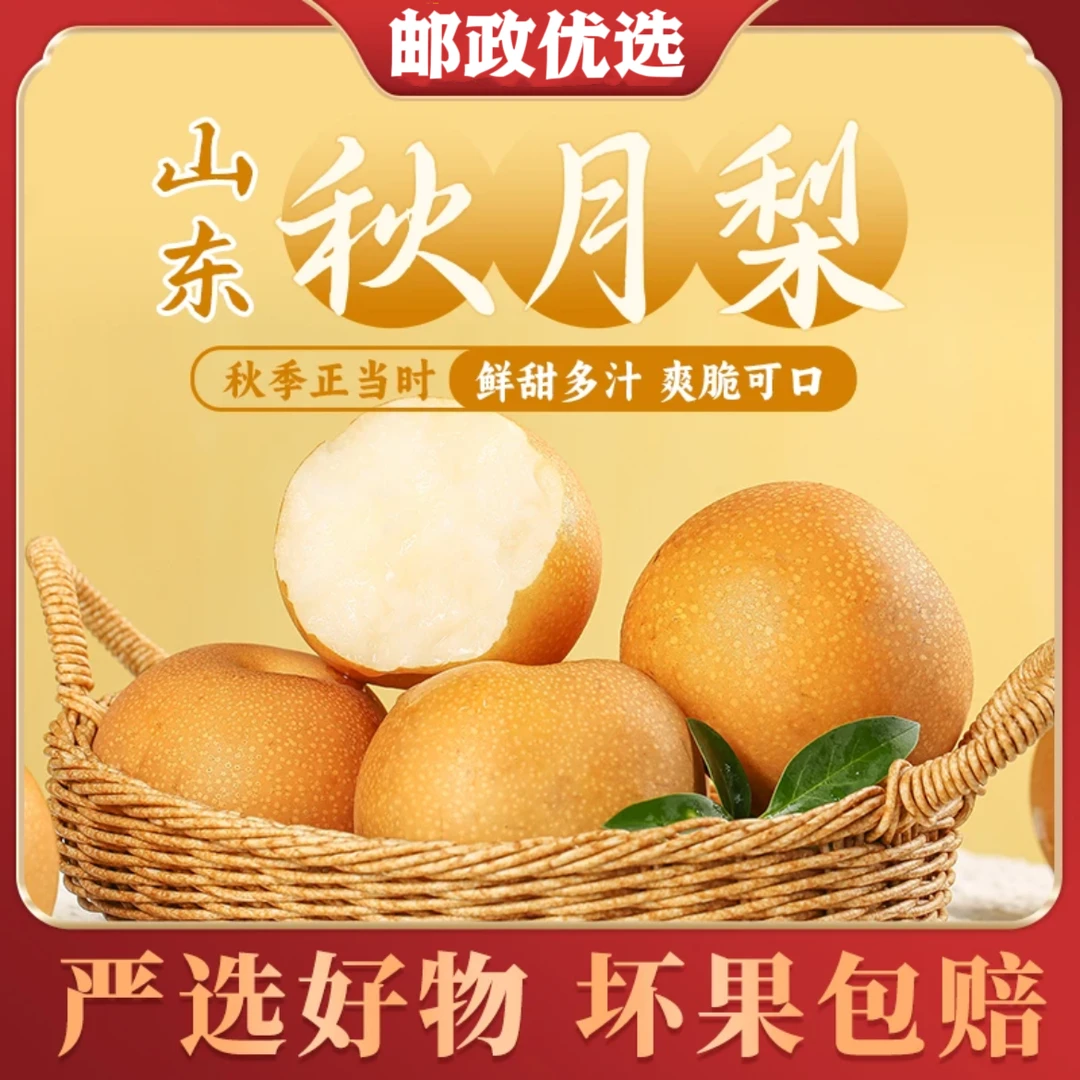 【邮政优选】新鲜当季山东秋月梨现摘现发原产地直销3斤-8.5斤装