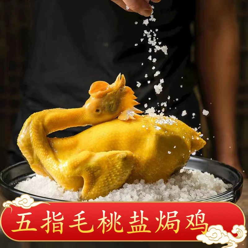 秘制五指毛桃盐焗鸡地道风味咸香鸡 整只1.7斤~2.2斤【顺丰包邮】