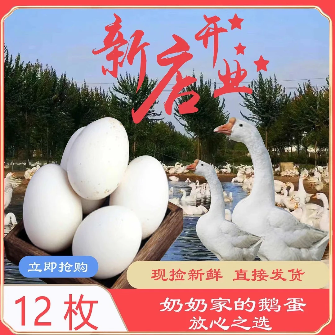 【12枚土鹅蛋交朋友】农家散养土鹅蛋现捡现发整箱破损包赔