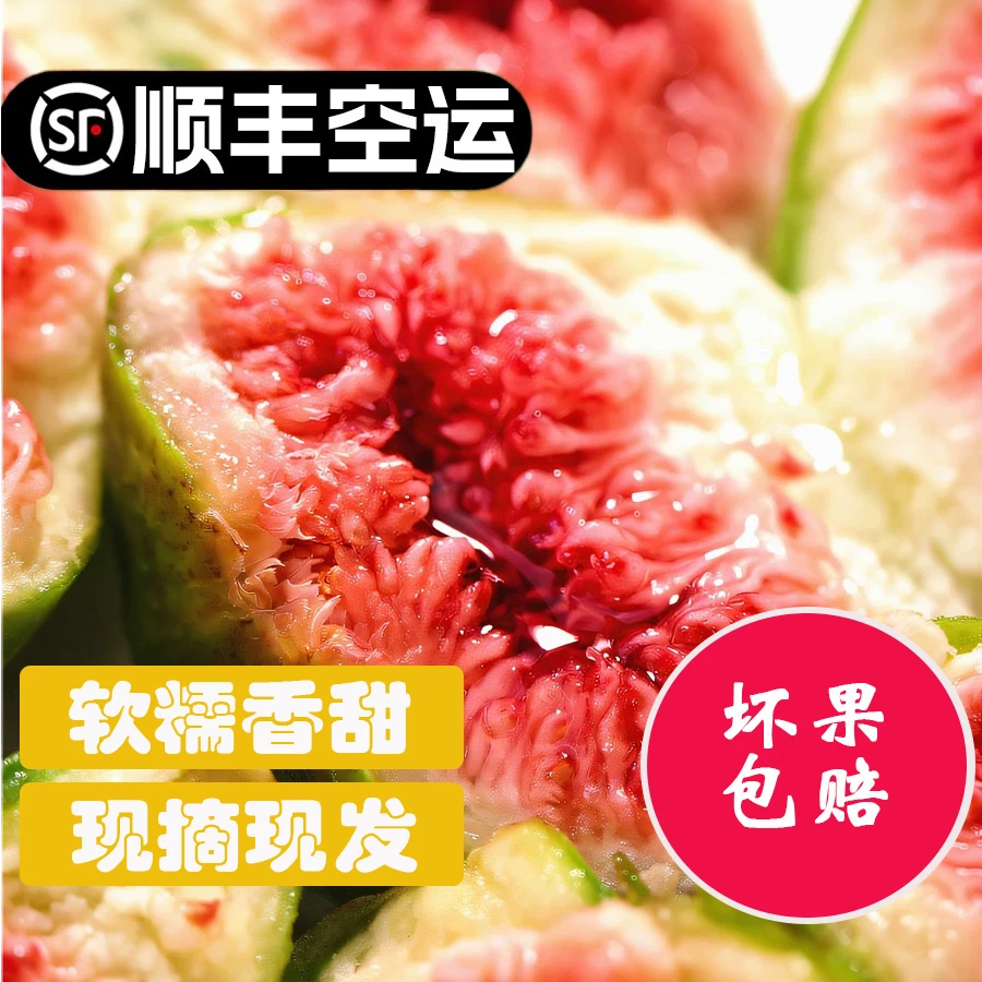 （顺丰空运包邮）威海现摘新鲜无花果软糯香甜饱满清香包赔