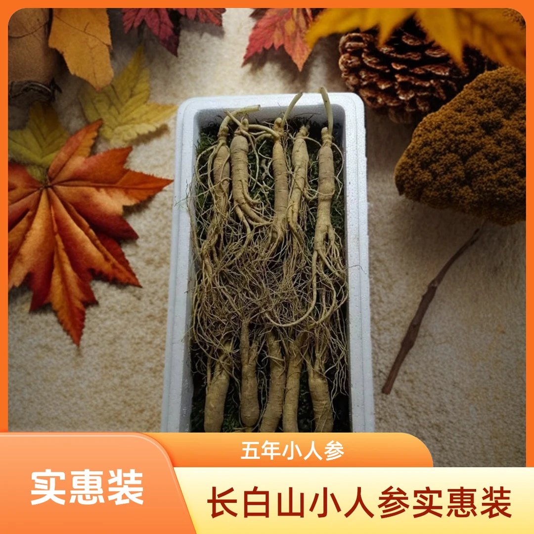 长白山五年小人参【20根起包邮】