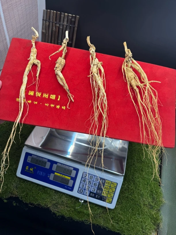 正宗长白山林下参，泡酒煲汤，送礼佳品礼盒装2