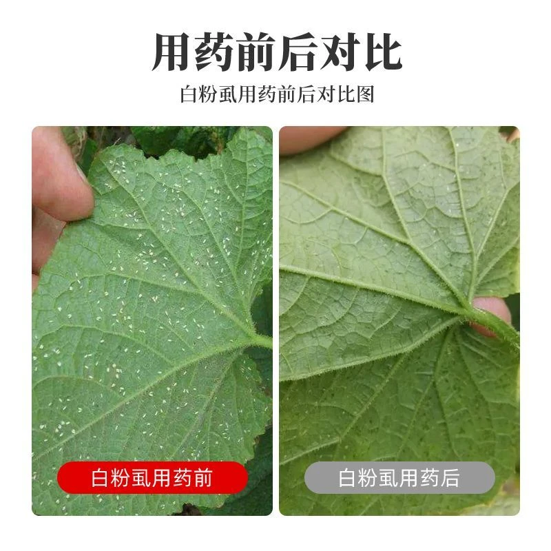 叶面肥粉粉落地20桶水