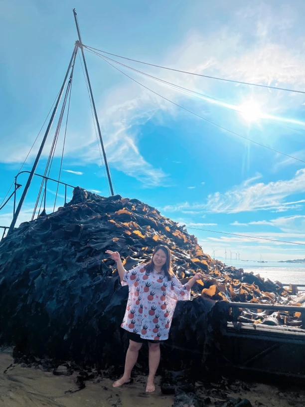 福建干海带头一斤泡发7-8斤