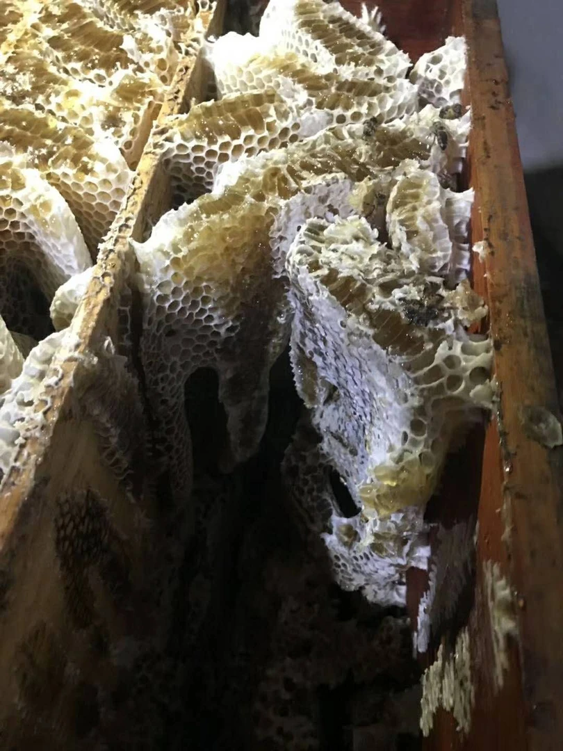 自家正宗蜂蜜一瓶一斤