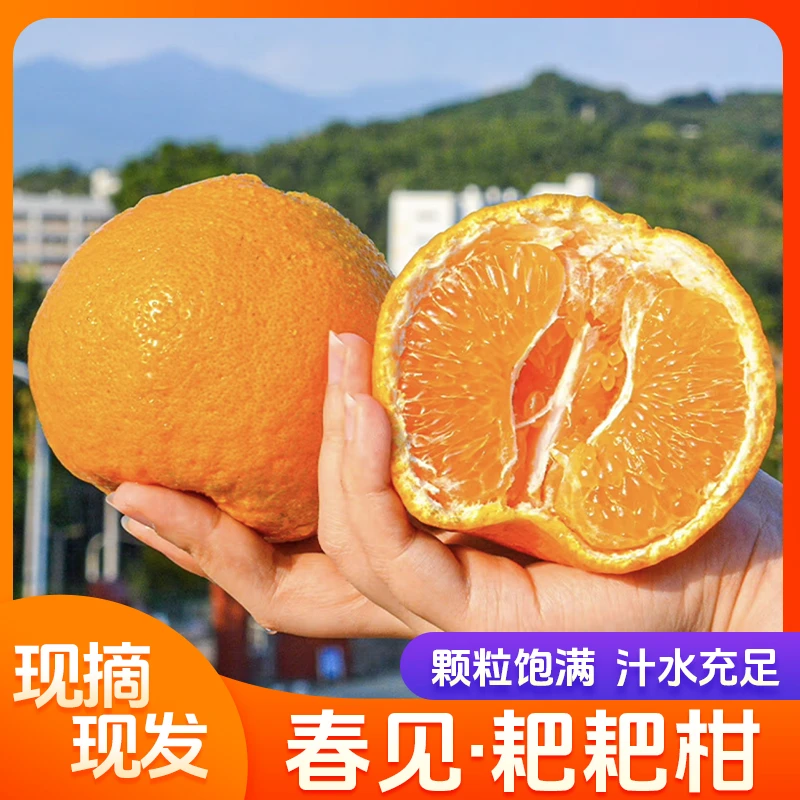 四川春见耙耙柑4.5斤/8斤新鲜水果丑橘成熟现摘现发柑橘皮薄多汁