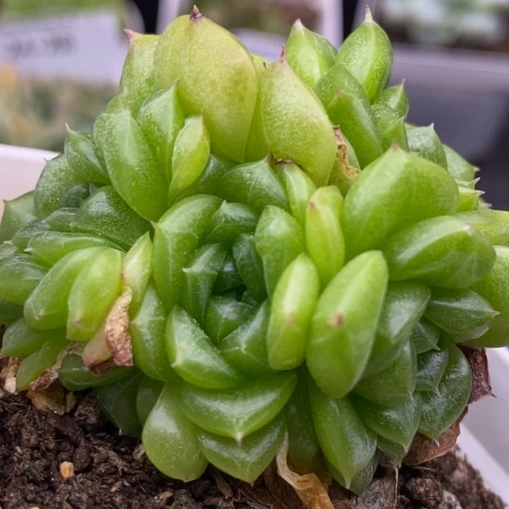 【闪购商品】24-30