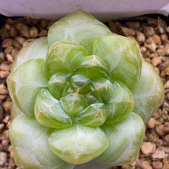 【闪购商品】18-49