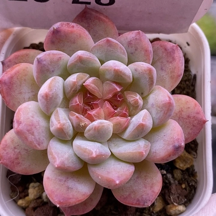 【闪购商品】20-28