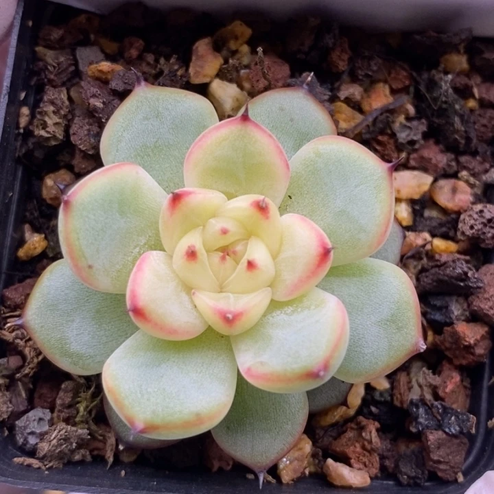 【闪购商品】18-58