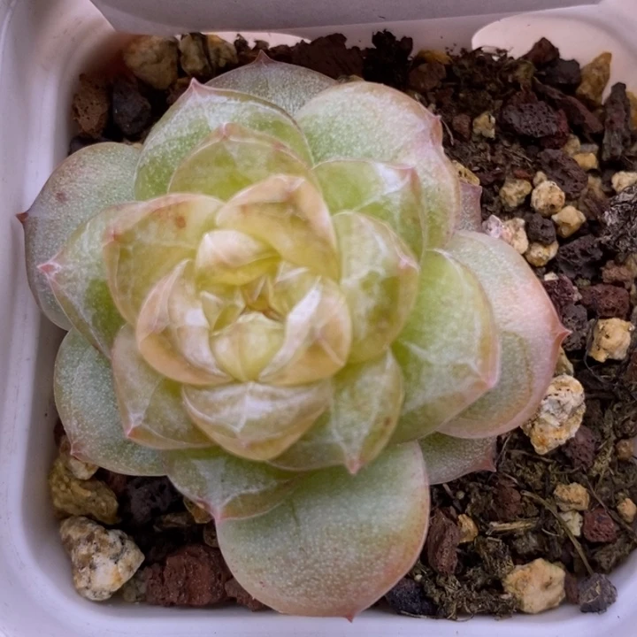 【闪购商品】11-53