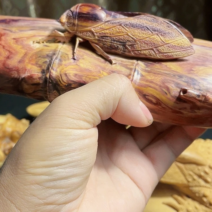【闪购商品】柏木木****波今天晚上你好大哥