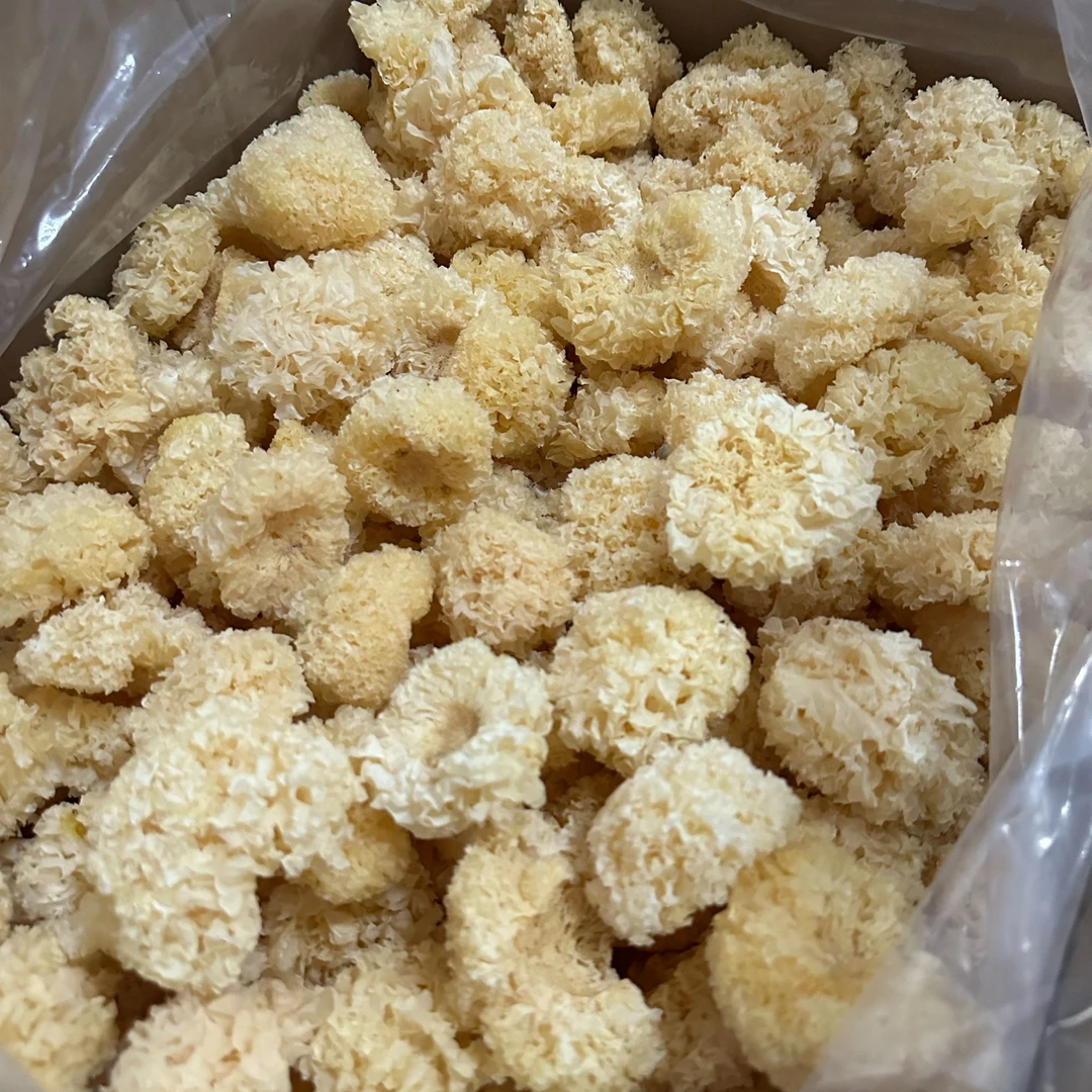 张正带你逛中原早市【银耳】