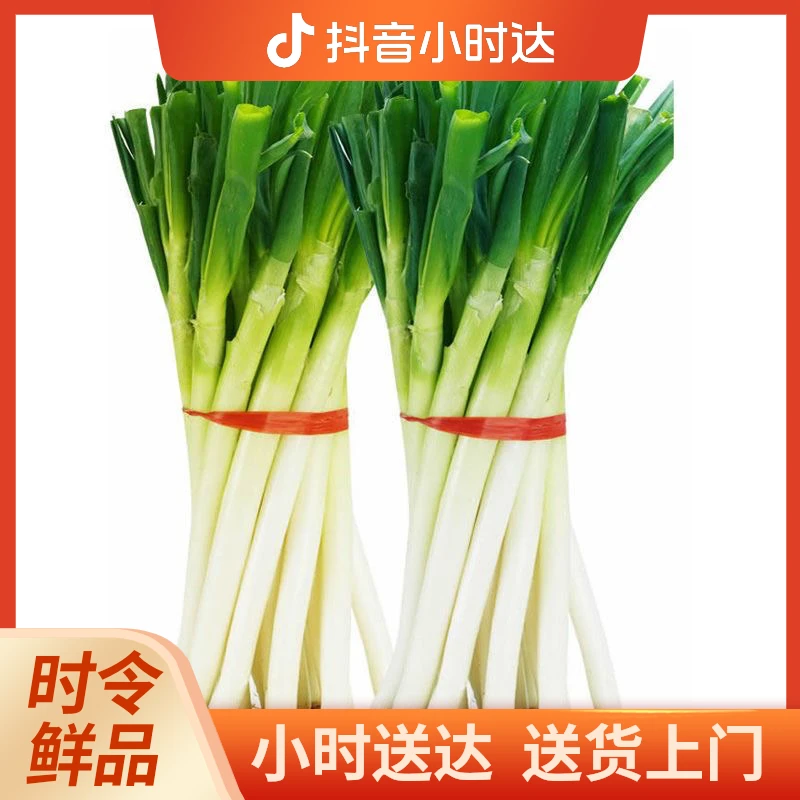 大葱 1 根
