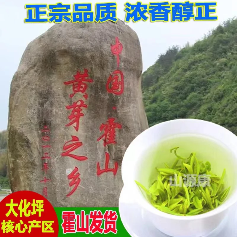 霍山黄芽2024新茶明前采摘高山春茶浓香耐泡碳火烘焙原产地正宗