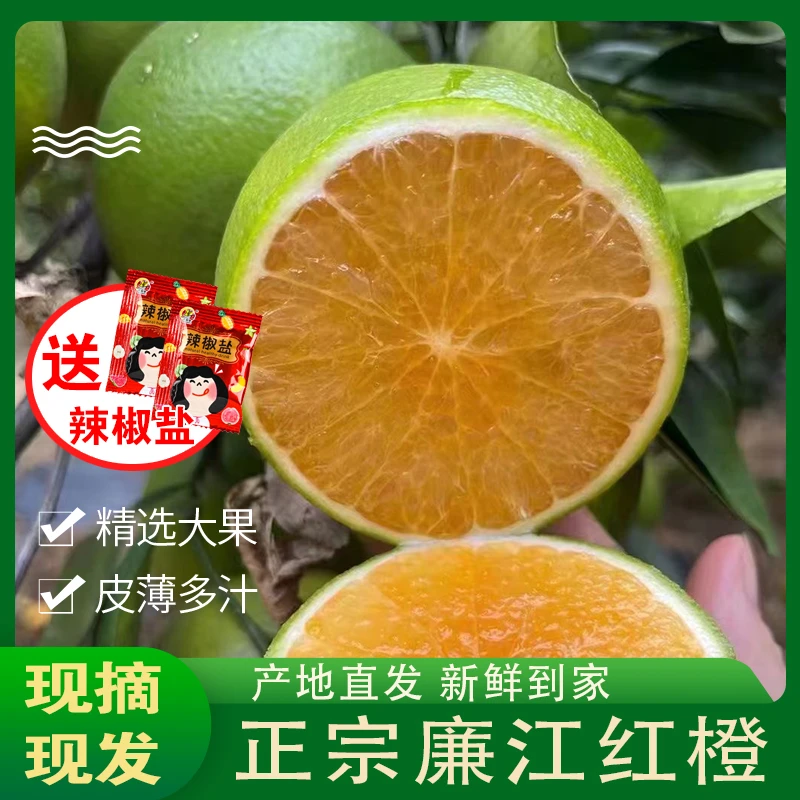 【顺丰快递】正宗廉江红橙 皮薄多汁 果园现摘现发 产地直发3-9斤