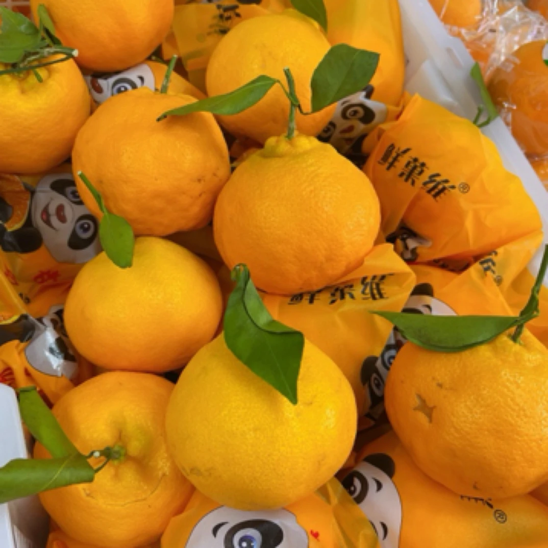 四川新鲜耙耙柑1斤(±100g)
